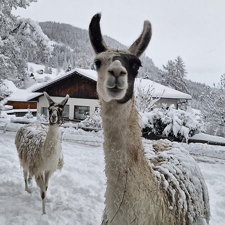 Gasthof Kirchmoar Sankt Blasen Exteriör bild
