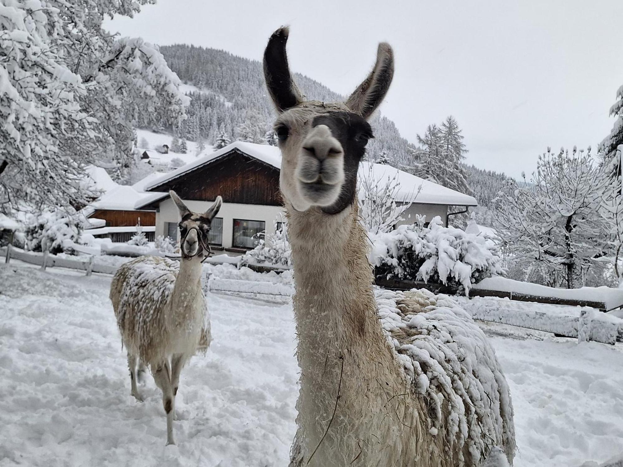 Gasthof Kirchmoar Sankt Blasen Exteriör bild